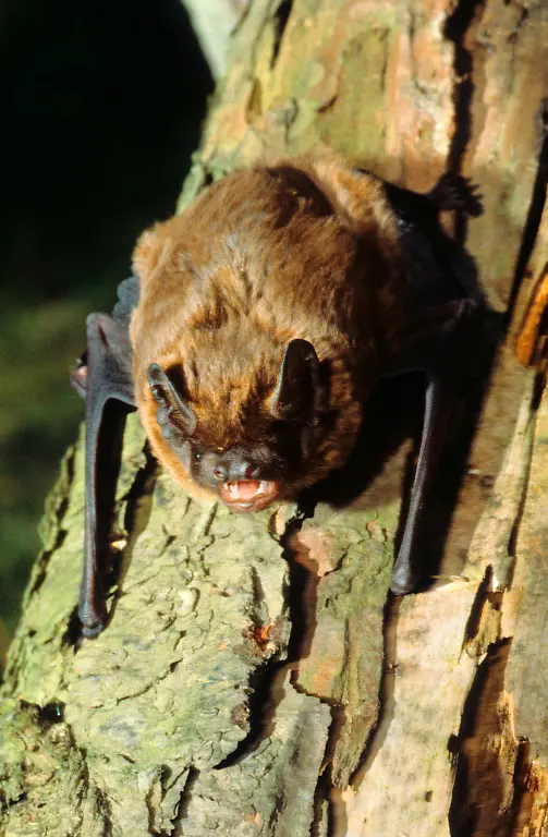 imago259091543