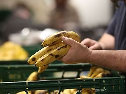 Sachsen: Tafeln in Sachsen kämpfen mit steigenden Kosten