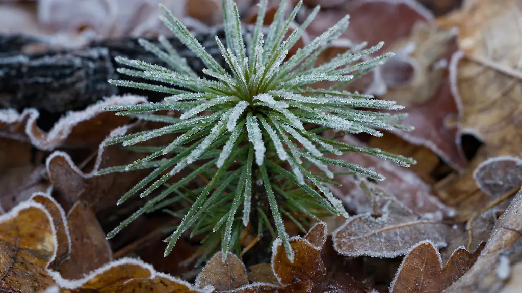 339d4b4994344ed86e976585defe1501