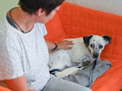 Bayern: Diskussion um Jahresausklang ohne Böller nimmt Fahrt auf