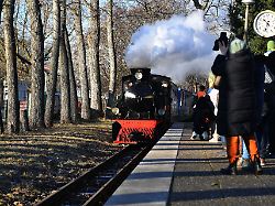 Berlin & Brandenburg: Historische Dampflok zieht Weihnachtszug durch die Wuhlheide