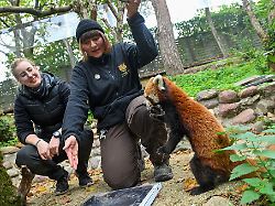 Sachsen-Anhalt: Zoopreise bleiben größtenteils stabil