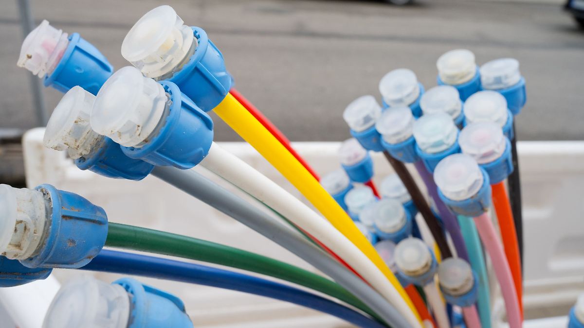 Land will Digitalisierung mit schnelleren Verfahren ausbauen