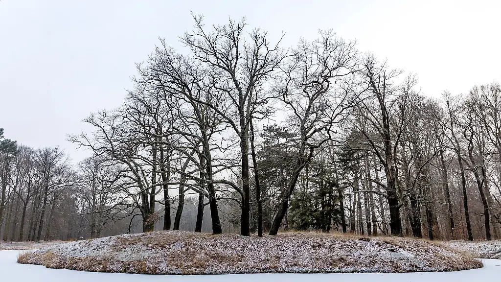 In-Berlin-und-Brandenburg-sinken-die-Temperaturen-auch-in-den-kommenden-Naechten-unter-den-Gefrierpunkt