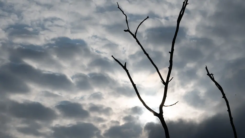 In-Mecklenburg-Vorpommern-kann-in-den-kommenden-Tagen-immer-wieder-etwas-Sonnenschein-durch-die-Wolken-fallen