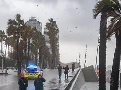 Überschwemmungen und Sturzfluten: Todesfall und Vermisste bei starken Regenfällen in Südspanien