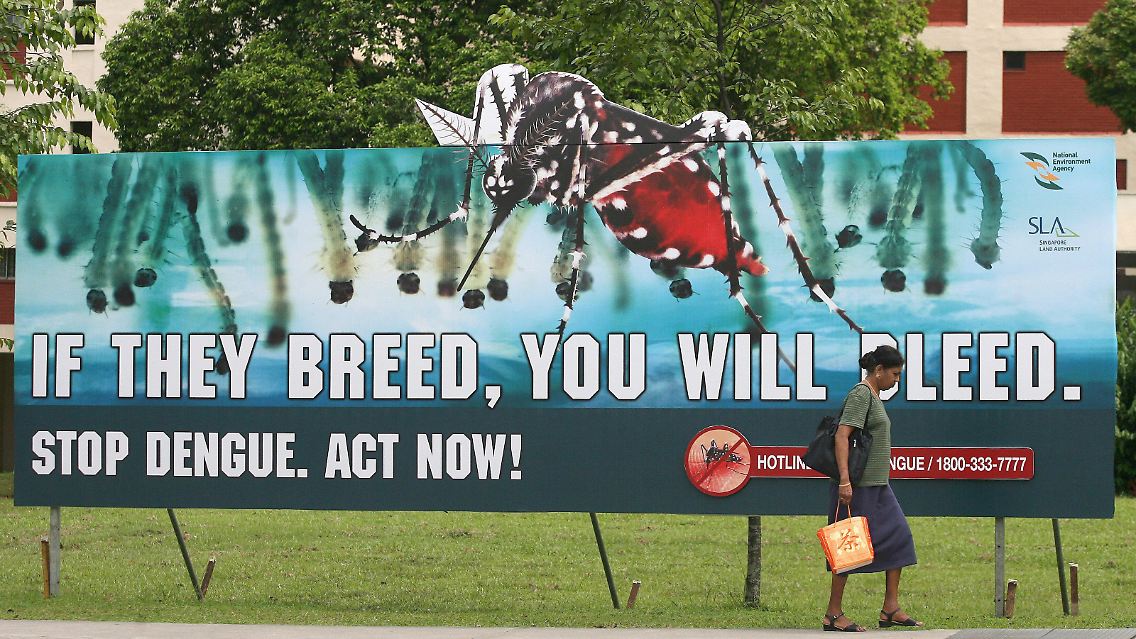 Dengue-Fieber kann in schweren Fällen tödlich verlaufen. (Banner gegen Dengue-Fieber in Singapur)