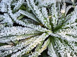 Hessen: Silvesternacht in Hessen eher frostig und ungemütlich