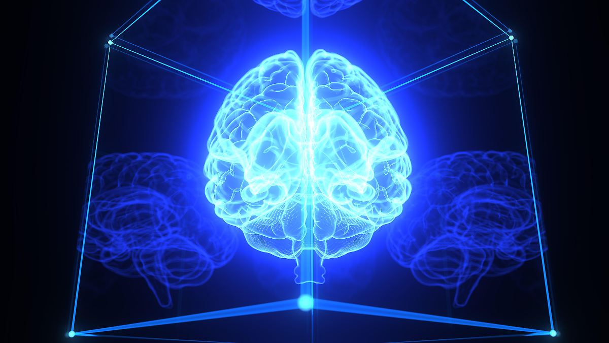 Hungersignal-verschwindet-nicht-Fettleibigkeit-ver-ndert-das-Gehirn