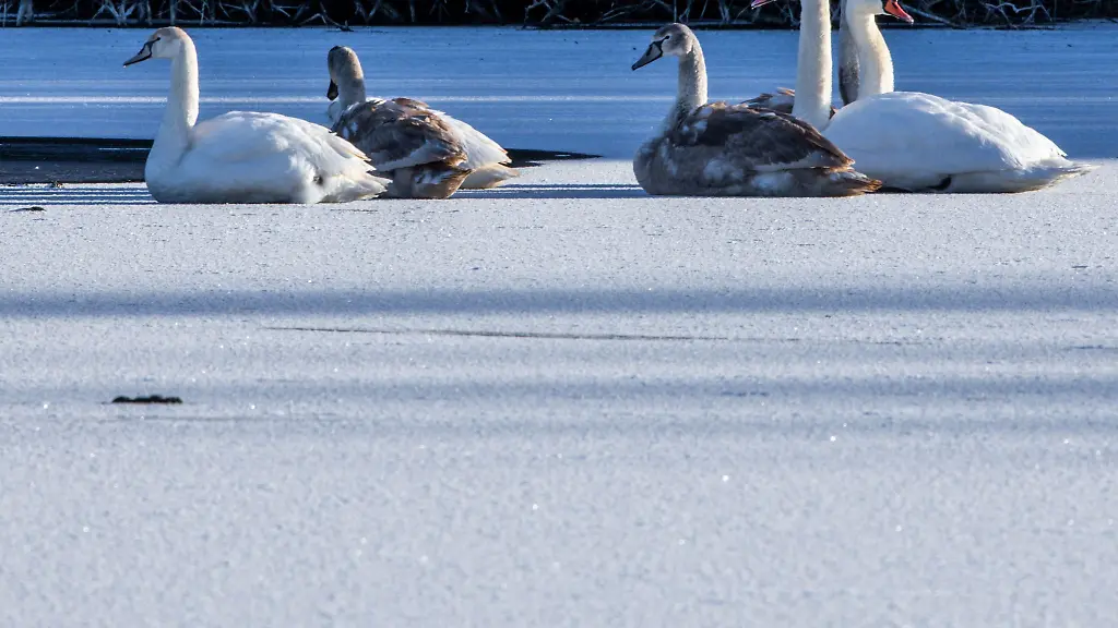 Kalt-geht-das-Jahr-2025-zu-Ende