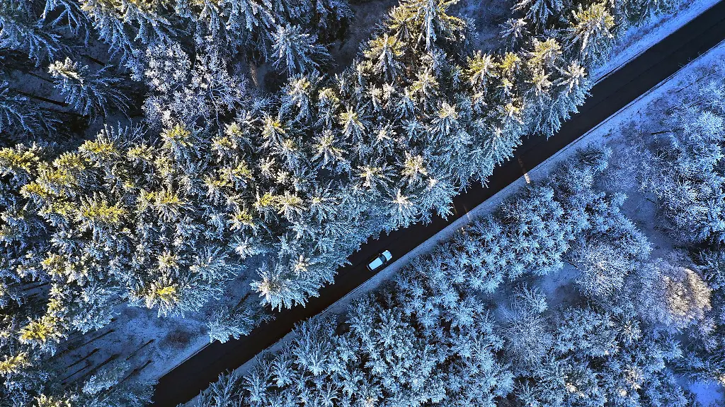 Mit-Schnee-und-Frost-startet-der-Freistaat-ins-neue-Jahr