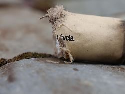 "Nacht der Repressionen": Berliner Polizei beschlagnahmte 220.000 Stück illegale Pyrotechnik