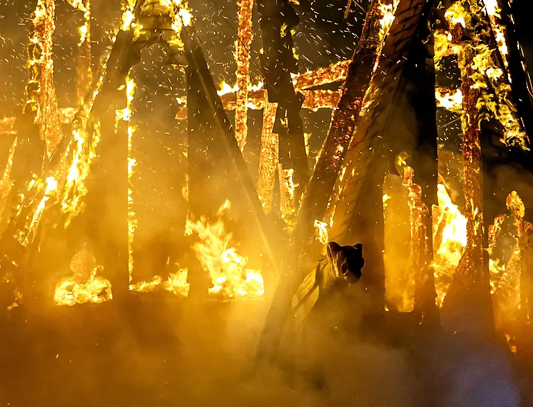 2026-01-01-01-42-22-AMSTERDAM-In-der-Silvesternacht-brach-im-Turm-der-Vondelkirche-in-Amsterdam-ein-Feuer-aus-Die-Kirche-befindet-sich-in-der-Naehe-des-Vondelparks