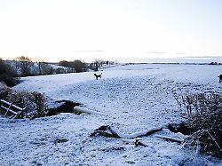 Baden-Württemberg: Schnee und dann minus 15 Grad - strenger Frost im Südwesten
