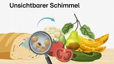 Schimmel Reste