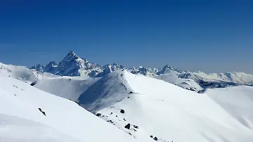 236941533