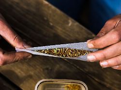 Baden-Württemberg: Spezialeinheit deckt Verstöße bei Cannabis-Clubs auf