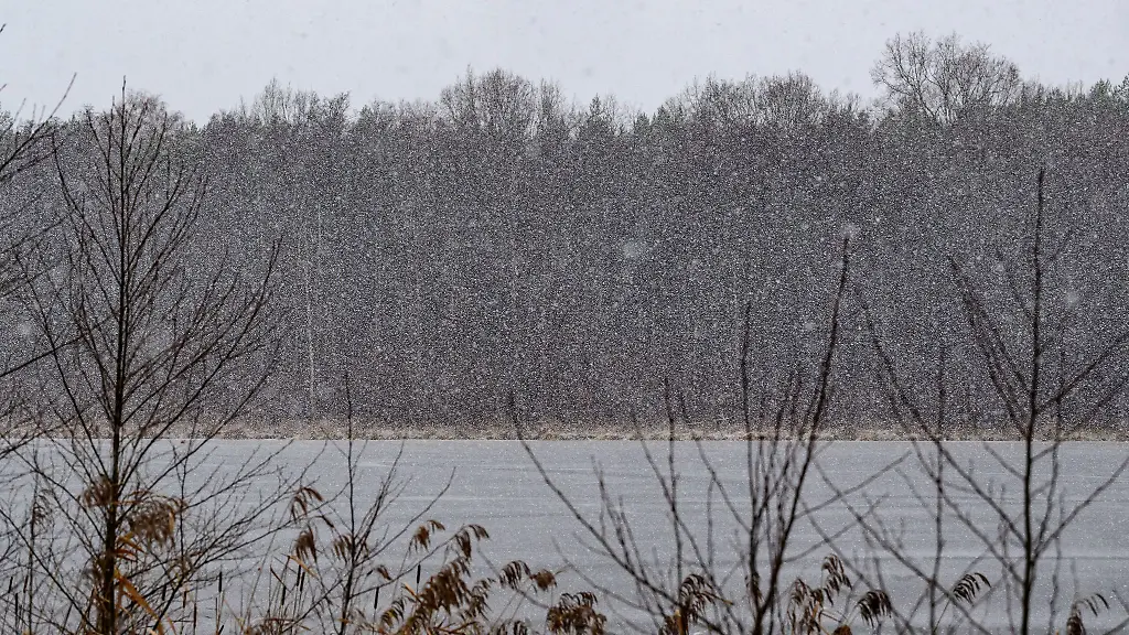 Schnee-und-Frost-praegen-das-Wochenende-in-Berlin-und-Brandenburg-vielerorts-sind-Strassen-und-Wege-winterlich-glatt