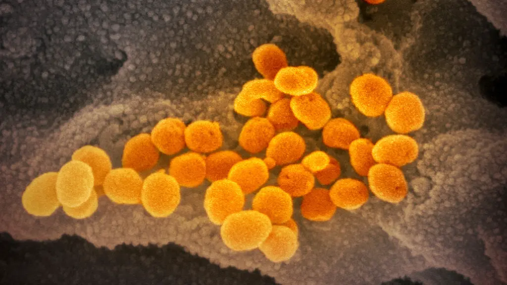 43a2541a81bb13ef77fb0cfc74c73bfc