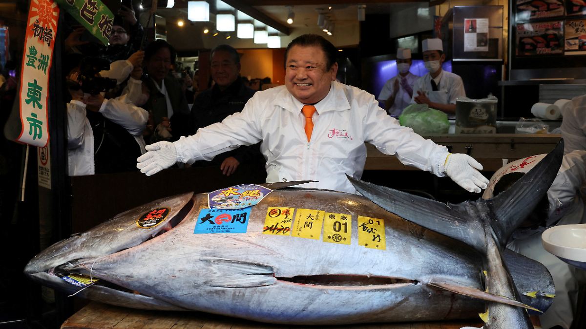 2-8-Millionen-Euro-bei-Auktion-So-teuer-wie-dieser-Thunfisch-war-bisher-noch-keiner