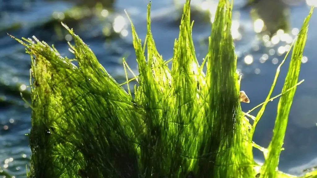 ACHTUNG-Nur-zur-Verwendung-im-Zusammenhang-mit-der-aktuellen-Berichterstattung