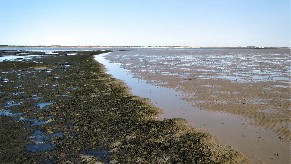 pic-bf7164b38a20201221110958