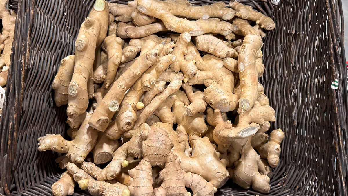 Schön scharf: Ingwer schafft es zur Arzneipflanze des Jahres