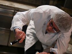 Maus unter Aufschnittmaschine: Lebensmittelkontrolleur sieht "viele ekelige Sachen"