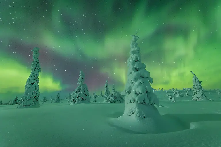 This-night-was-truly-unforgettable-Capturing-the-famous-frozen-trees-of-Riisitunturi-beneath-the-Northern-Lights-had-been-a-dream-for-years-In-March-2025-we-set-out-to-make-it-happen-but-the-weather-challenged-us-with-thick-clouds-all-week-On-our-final-night-we-hiked-into-the-park-hoping-for-a-glimpse-of-the-sky-The-wind-was-biting-and-we-took-shelter-among-the-frozen-trees-waiting-in-silence-After-hours-of-nothing-we-finally-gave-up-and-began-the-hike-back-to-our-cabin-Then-just-as-we-were-about-to-call-it-a-night-a-break-appeared-in-the-clouds-We-grabbed-our-gear-and-hurried-back-up-the-Riisitunturi-Hill-The-moment-we-reached-the-top-the-sky-burst-into-vivid-shades-of-green-It-was-an-explosion-of-light-and-wonder-This-night-was-the-experience-of-a-lifetime-the-dream-shot-I-had-longed-for-and-a-moment-that-words-can-hardly-describe-Photographing-the-Northern-Lights-demands-patience-and-persistence-but-when-they-finally-appear-time-stands-still-and-nature-reminds-you-just-how-amazing-our-world-can-be