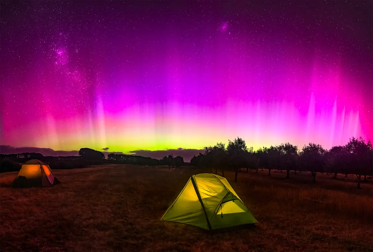 On-New-Year-s-Day-beneath-the-dark-Australian-sky-my-friends-and-I-were-met-by-celestial-fireworks-with-the-Aurora-Australis-unfurling-in-a-sudden-breathtaking-bloom-above-our-quiet-campsite-in-the-Otways-of-Victoria-Ribbons-of-rose-violet-and-green-shimmered-visible-even-to-the-naked-eye-as-if-the-universe-itself-had-heard-our-resolutions-for-2025-and-joined-in-our-celebration-The-spectacle-arrived-without-warning-giving-me-only-moments-to-reach-for-my-camera-Though-the-foreground-may-be-plain-I-don-t-mind-it-as-the-lines-of-trees-on-the-right-lead-your-eye-to-the-stunning-light-show-in-the-sky-This-photograph-holds-something-far-greater-a-reminder-that-even-in-life-s-simplest-scenes-magic-can-find-us-when-we-least-expect-it