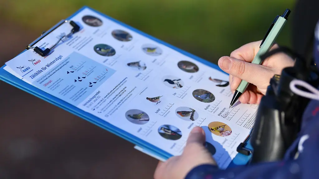 Am-kommenden-Wochenende-koennen-im-eigenen-Garten-wieder-Voegel-gezaehlt-werden