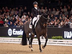 "Herz aus der Brust gerissen": Olympiasiegerin trauert um Pferd: Tod kam "lautlos, gnadenlos und unaufhaltsam"