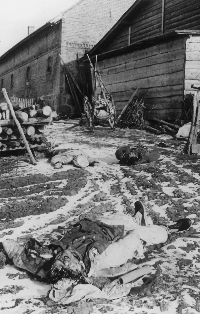 Ostfront-Ostpreussen-Gefallene-Jan-1945-2-Weltkrieg-Deutschland-Zusammenbruch-der-Ostfront-durch-sowje-tische-Grossoffensive-ab-12-Januar-1945-Gefallene-in-einem-Dorf-in-Ost-preussen-Foto-um-Januar-1945