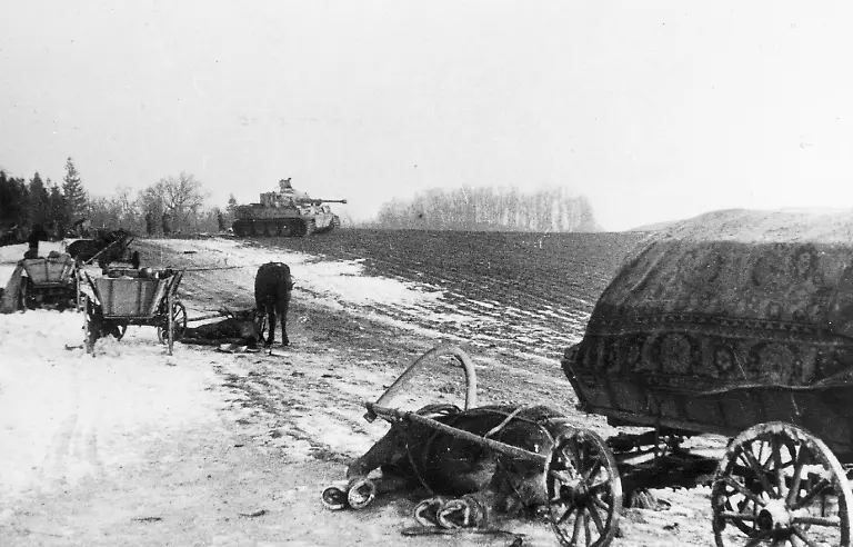 Ein-von-den-Russen-ueberrollter-und-zerschossener-Fluechtlingstreck-noerdlich-von-Koenigsberg-im-Maerz-1945-Im-Vordergrund-erschossene-Pferde-und-Wagen-Im-Hintergrund-ein-deutscher-Panzer-VI-Tiger-Aufnahmedatum-01-03-1945-31-03