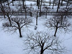 Bayern: Kalte Polarluft lässt Bayern weiter bibbern