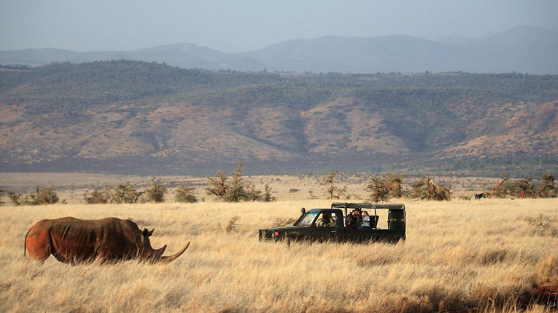 Im Lewa Safari Camp balgen sich Safari-Urlauber nicht mit vielen anderen Jeeps um ein Wildtier. Die Exklusivität hat allerdings ihren Preis.