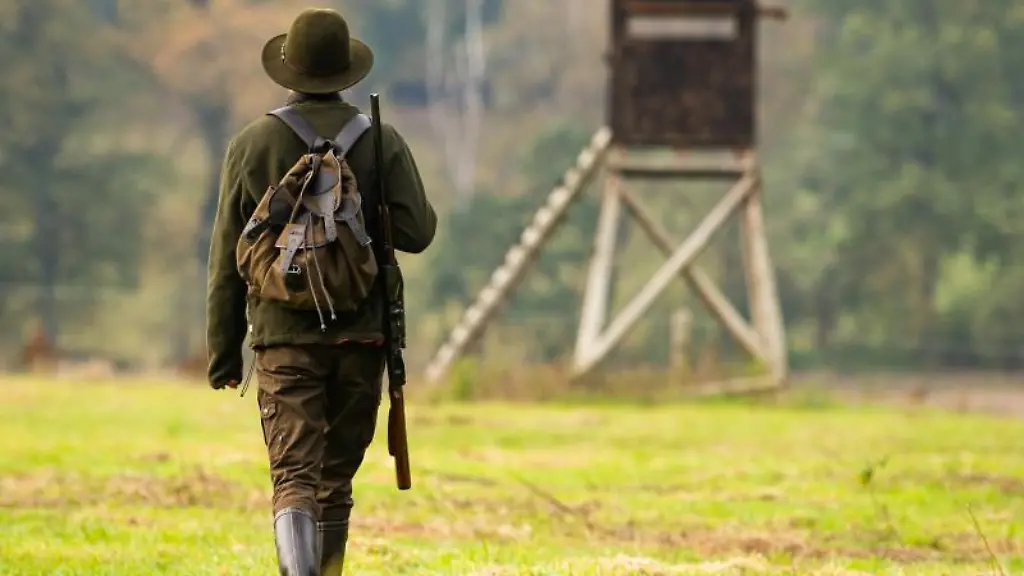 Eine-Jaegerin-geht-mit-ihrer-Bockbuechsflinte-zu-einem-Hochsitz