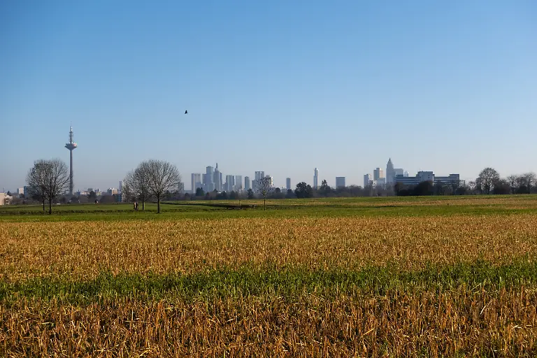 Die-Felder-im-Nordwesten-von-Frankfurt-am-Main-sind-gelb-gruen-bewachsen-Auf-diesem-etwa-550-Hektar-umfassenden-Gebiet-zwischen-Praunheim-der-Nordweststadt-Niederursel-sowie-den-Nachbargemeinden-Steinbach-und-Weisskirchen-soll-entlang-der-Bundesautobahn-A5-der-neue-Stadtteil-der-Quartiere-mit-6-800-Wohnungen-fuer-17-000-Menschen-sowie-5-000-neuen-Arbeitsplaetzen-entstehen-Das-Projekt-soll-etwa-1-Milliarde-Euro-kosten