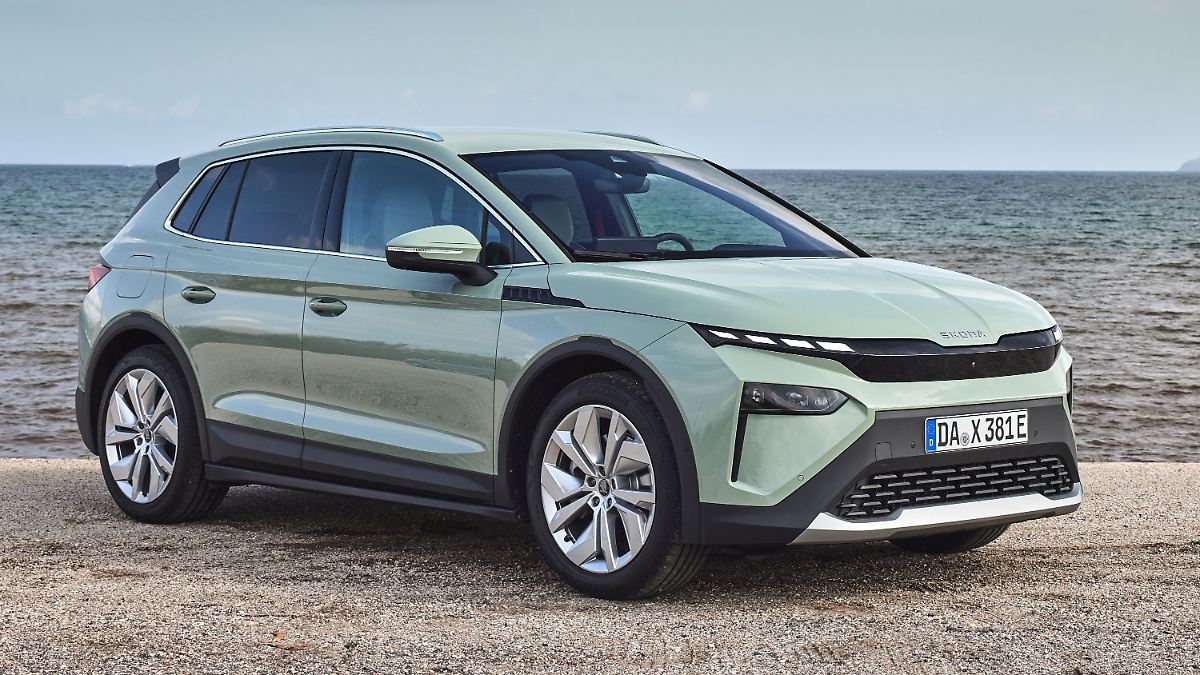 Skoda wächst, Tesla fällt ab: Pkw-Neuzulassungen 2025 - Gewinner und Verlierer