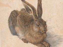 Universalgenie des Nordens: Albrecht Dürer, Visionär aus der Renaissance