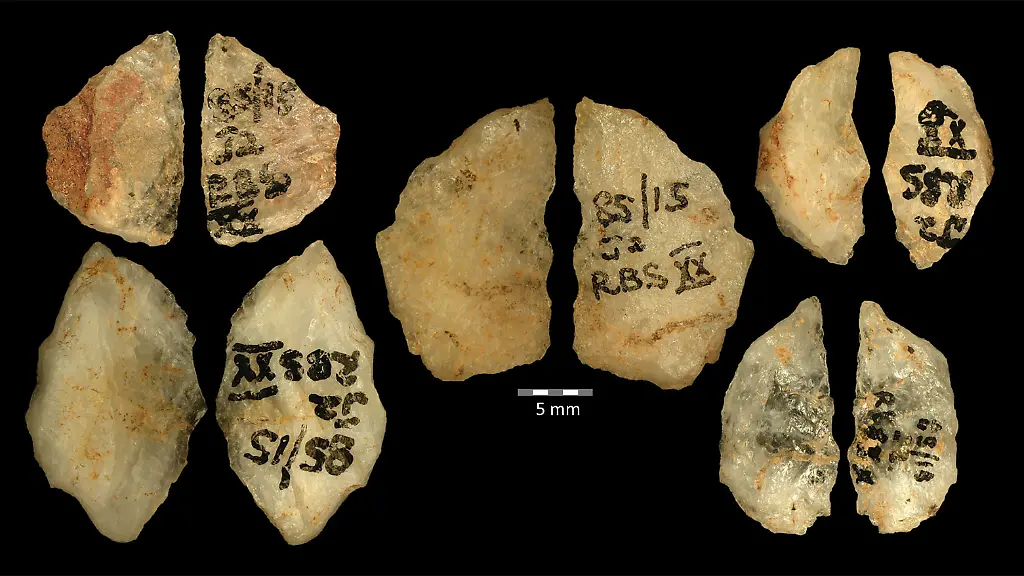 Die-Vor-und-Rueckseiten-der-fuenf-60-000-Jahre-alten-Pfeilspitzen-mit-dem-Gift-von-Boophone-Sie-stammen-aus-dem-Umhlatuzana-Felsueberhang-in-Suedafrika-Schon-vor-60-000-Jahren-jagten-Menschen-mit-ausgekluegelten-Waffen-Im-suedlichen-Afrika-nutzten-Jaeger-schon-damals-Pflanzengift-auf-ihren-steinernen-Pfeilspitzen-um-erfolgreicher-zu-jagen-wie-Forschende-der-Universitaeten-Johannesburg-und-Stockholm-im-Fachjournal-Science-Advances-berichten-ACHTUNG-DIESER-BEITRAG-DARF-NICHT-VOR-DER-SPERRFRIST-7-JANUAR-20-00-UHR-VEROeFFENTLICHT-WERDEN-EIN-BRUCH-DES-EMBARGOS-KOeNNTE-DIE-BERICHTERSTATTUNG-UeBER-STUDIEN-EMPFINDLICH-EINSCHRAeNKEN