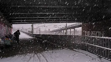 567010115