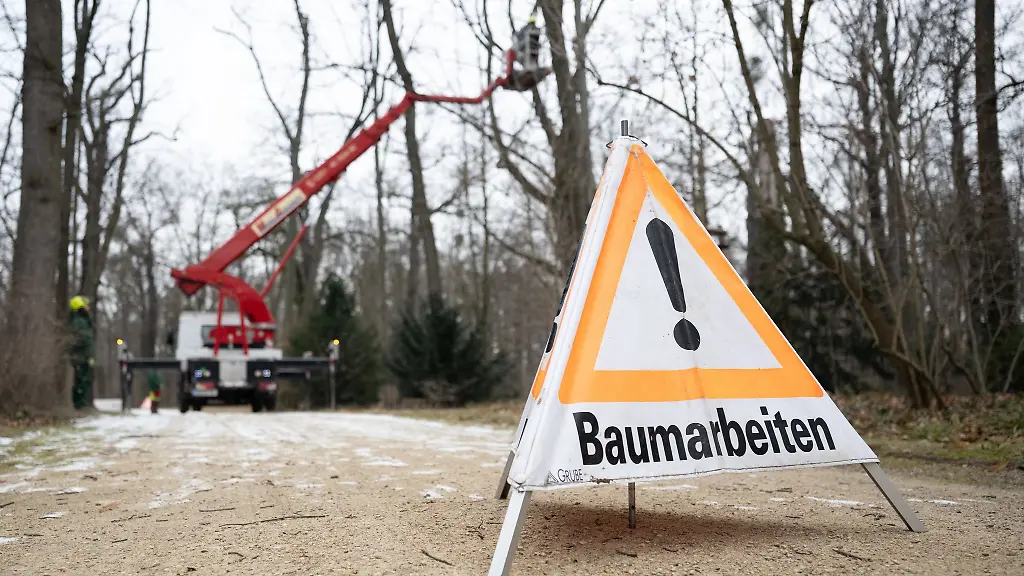 Baumpflegemassnahmen-im-Grossen-Garten-Dresden-sollen-ab-Maerz-2026-viele-Sperrungen-ueberfluessig-machen