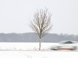 Mecklenburg-Vorpommern: Winter hat MV im Griff - Schneefall im Südwesten erwartet