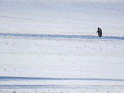 Sachsen-Anhalt: Bildungsministerium: Kurzfristige Schulausfälle möglich