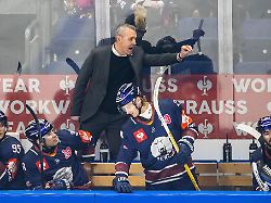 Berlin & Brandenburg: Eisbären verlieren in Iserlohn