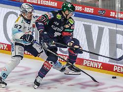 Berlin & Brandenburg: Winter Game: Eisbären zwischen Feierlaune und Pragmatismus