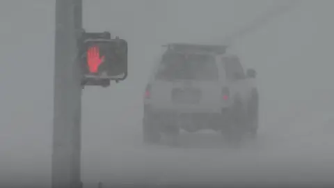 Blizzard