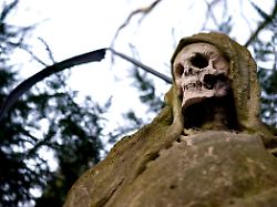 "Ort, der Horrorfilm gleicht": Polizei findet Hunderte Leichenteile in Keller