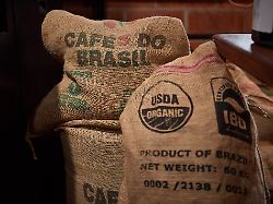 Zollerleichterungen kommen: Mercosur-Deal könnte Fleisch, Obst und Kaffee günstiger machen